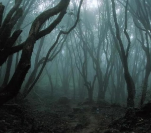 haunted forest