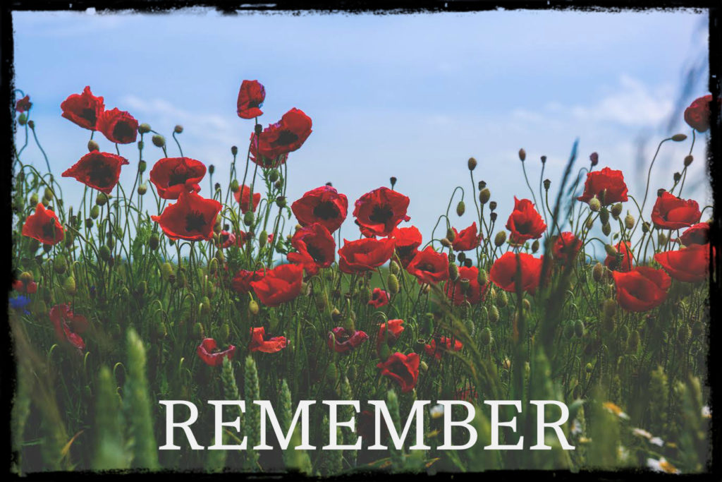 poppy-field-remember-banner